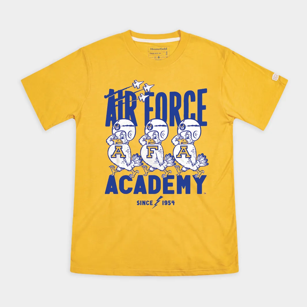 Air Force Academy Falcons Vintage Mascot Tee