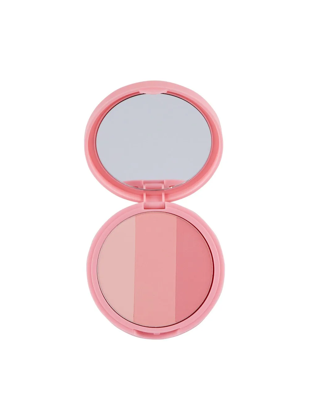 Artclass By Rodin Blusher (9.5g)