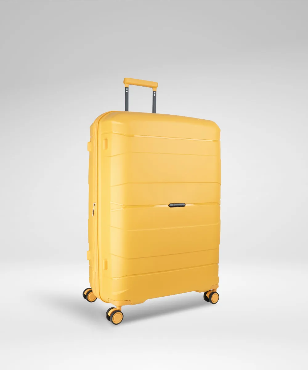 IT Luggage Momentous